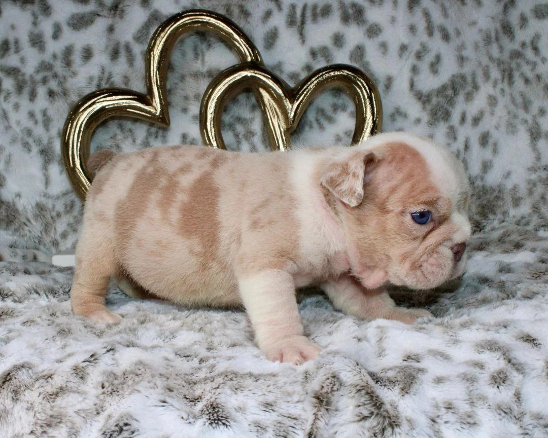 Photo Jan 21 2026, 9 41 19 PM.jpg