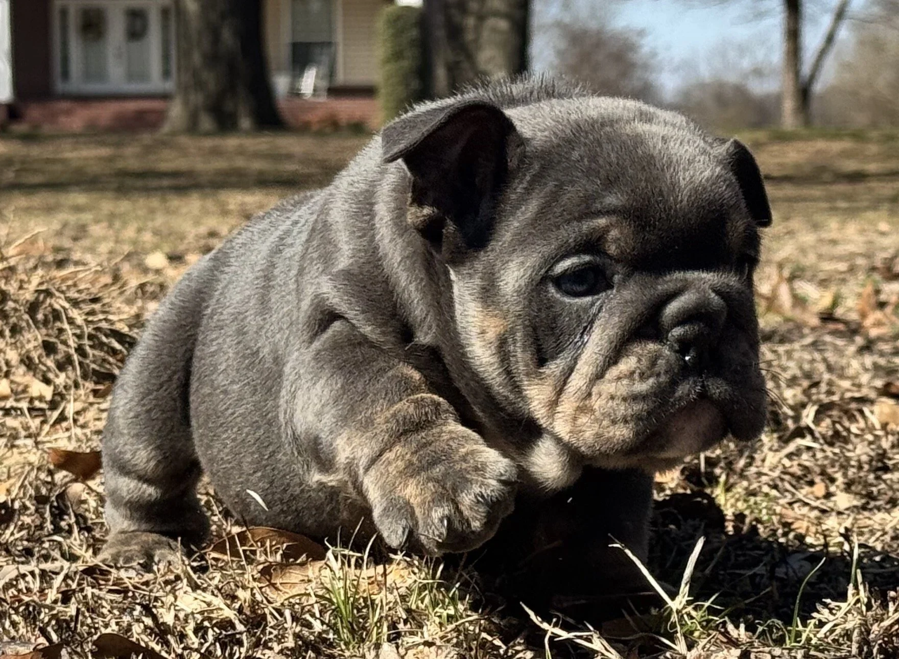 Photo Feb 27 2026, 10 58 28 AM.jpg