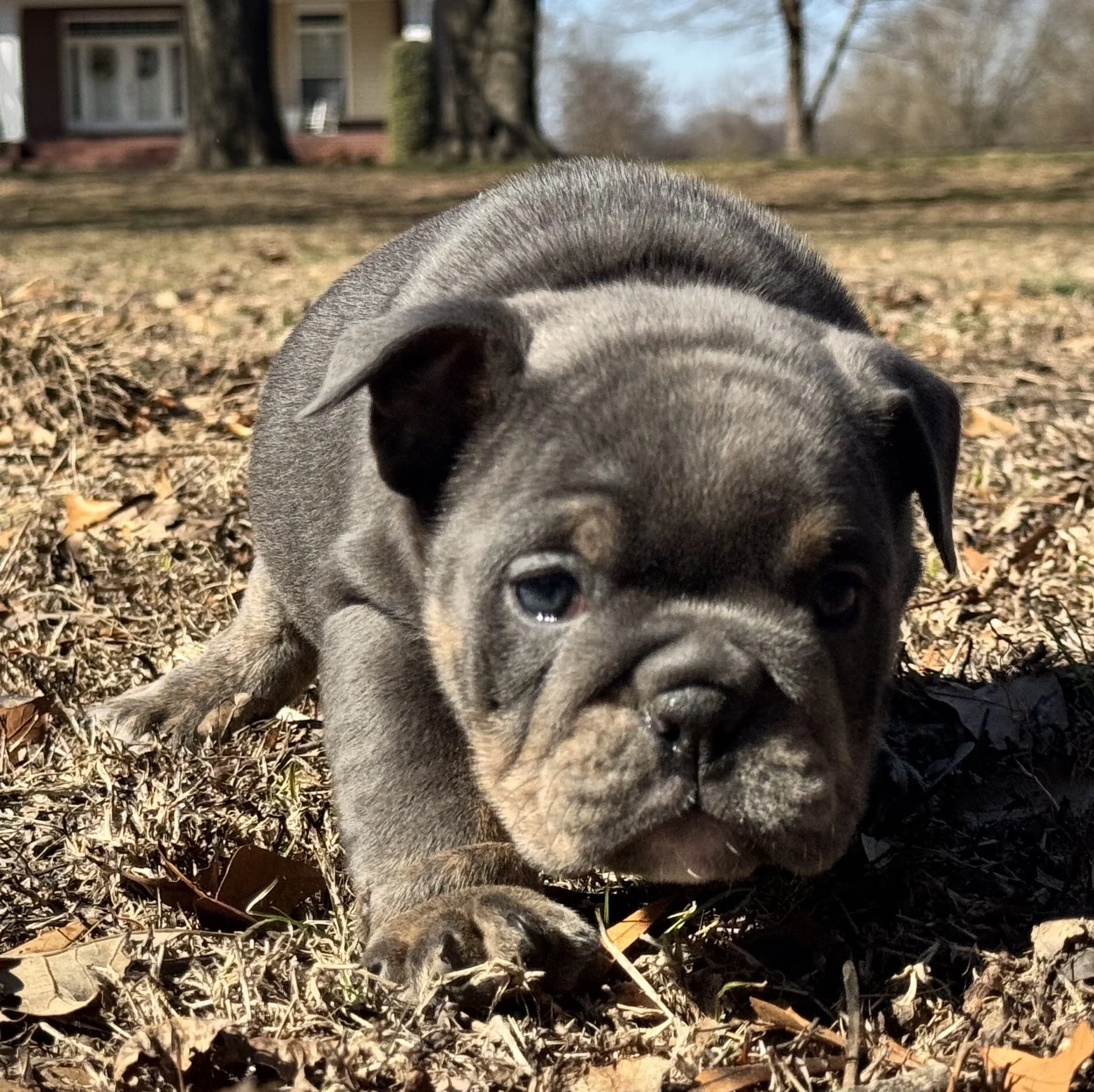 Photo Feb 27 2026, 10 58 29 AM.jpg