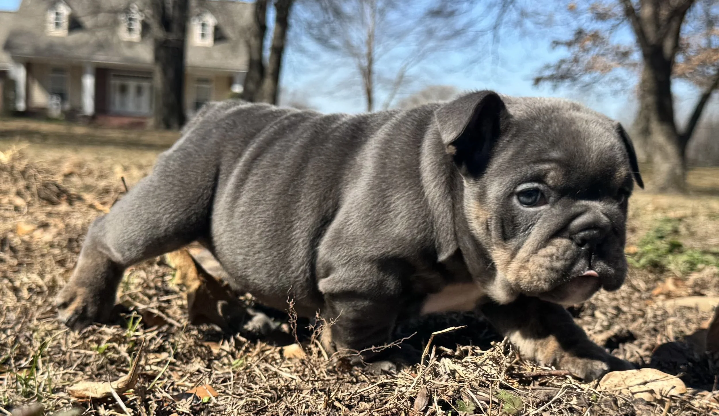 Photo Feb 27 2026, 10 58 45 AM.jpg