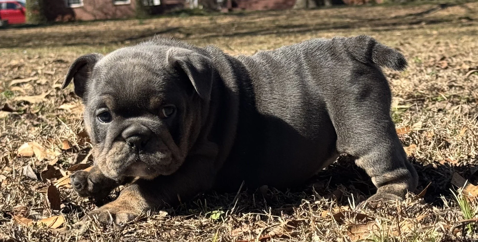 Photo Feb 27 2026, 10 58 55 AM.jpg