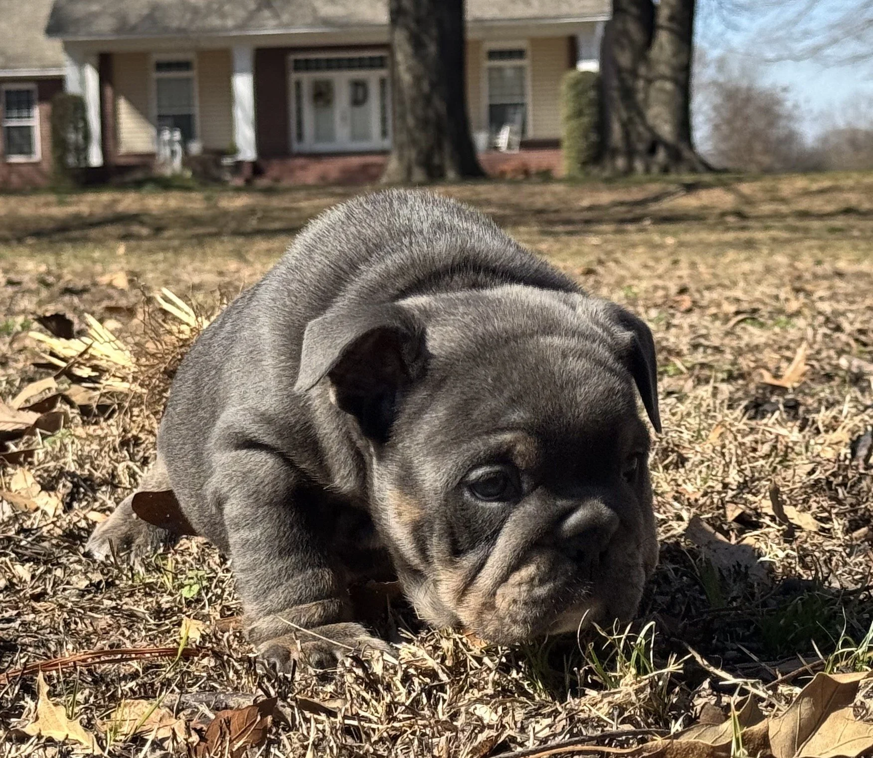 Photo Feb 27 2026, 10 58 56 AM.jpg