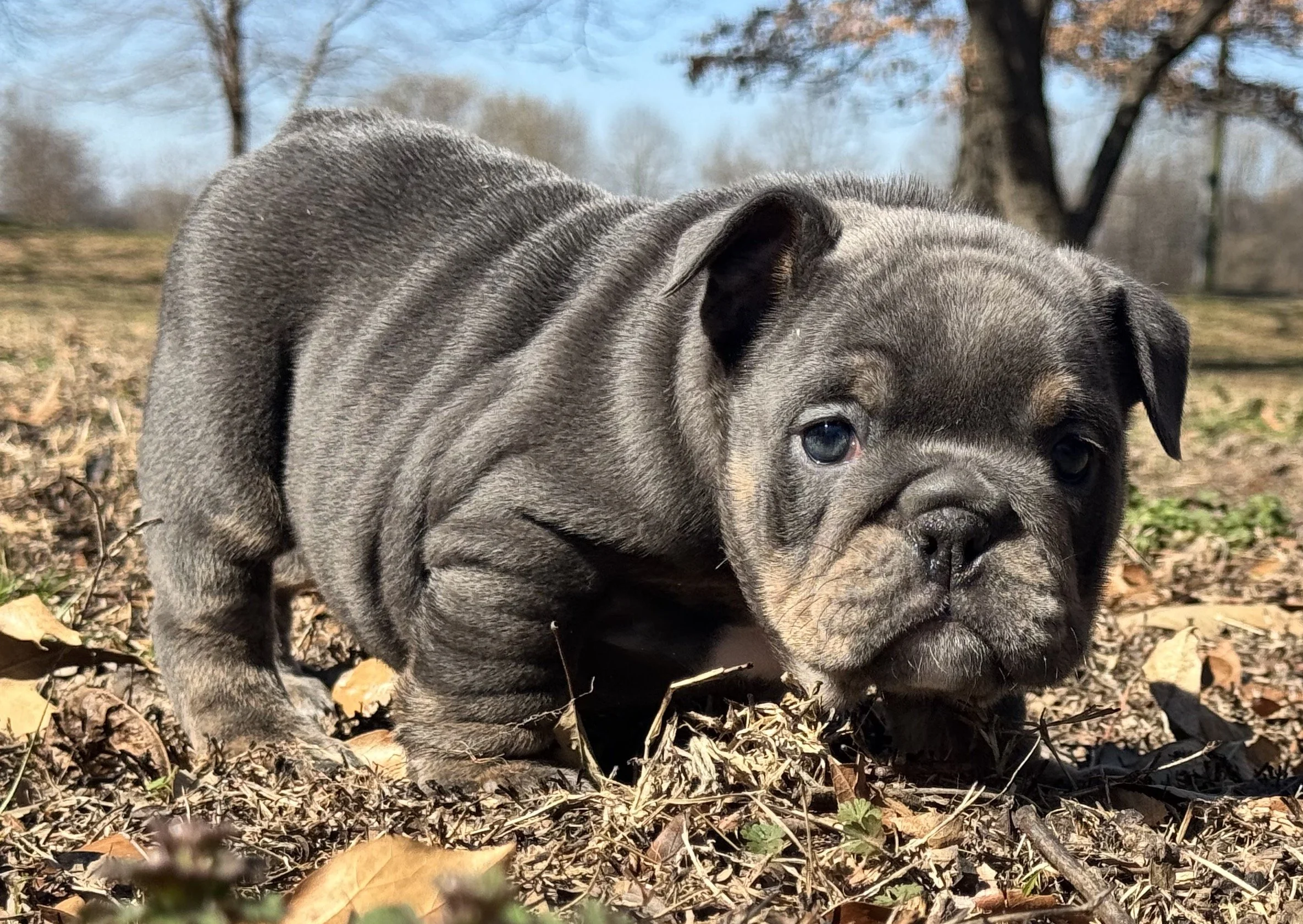 Photo Feb 27 2026, 10 58 59 AM.jpg