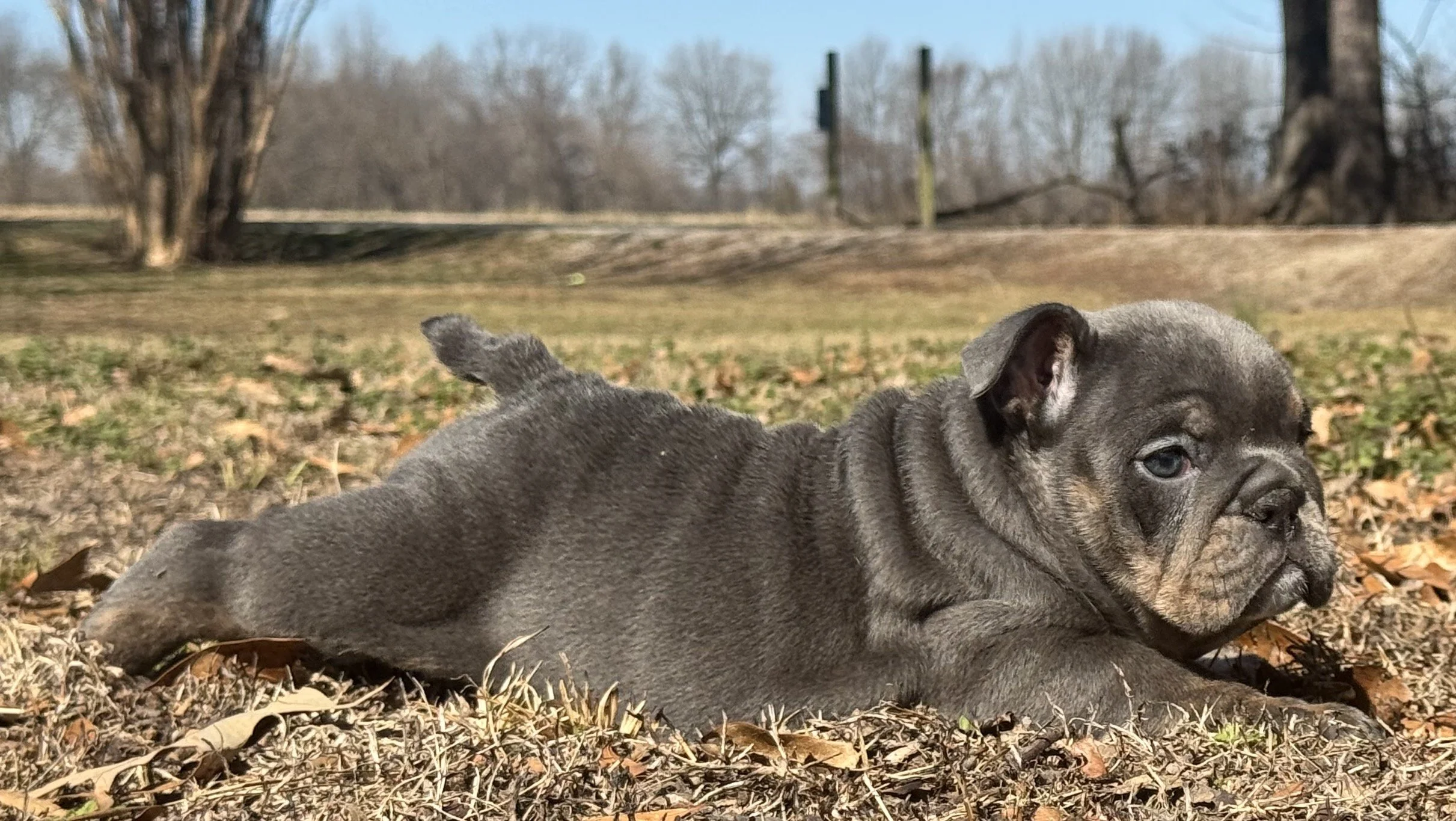 Photo Feb 27 2026, 10 59 49 AM (1).jpg