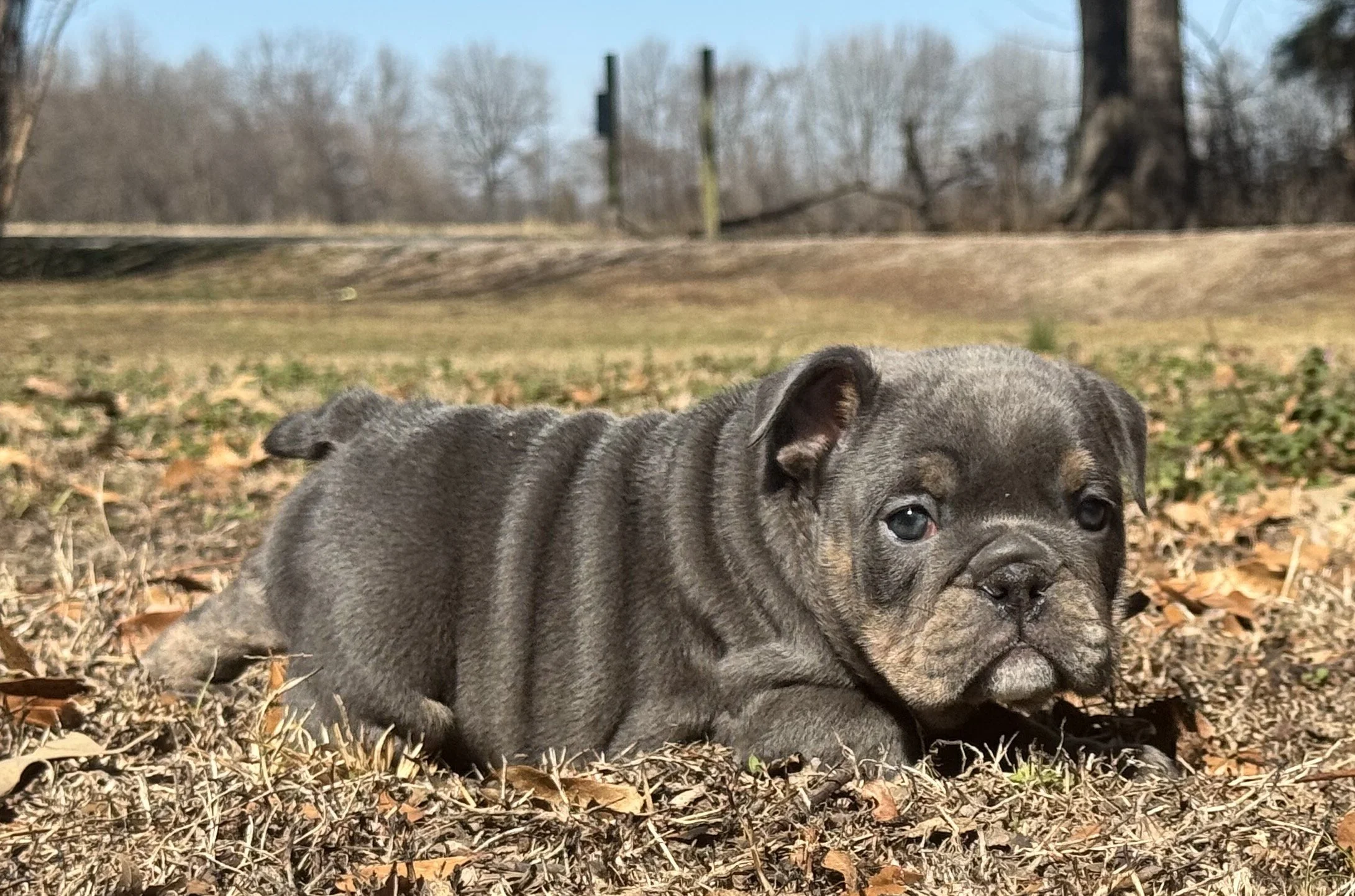 Photo Feb 27 2026, 10 59 49 AM.jpg