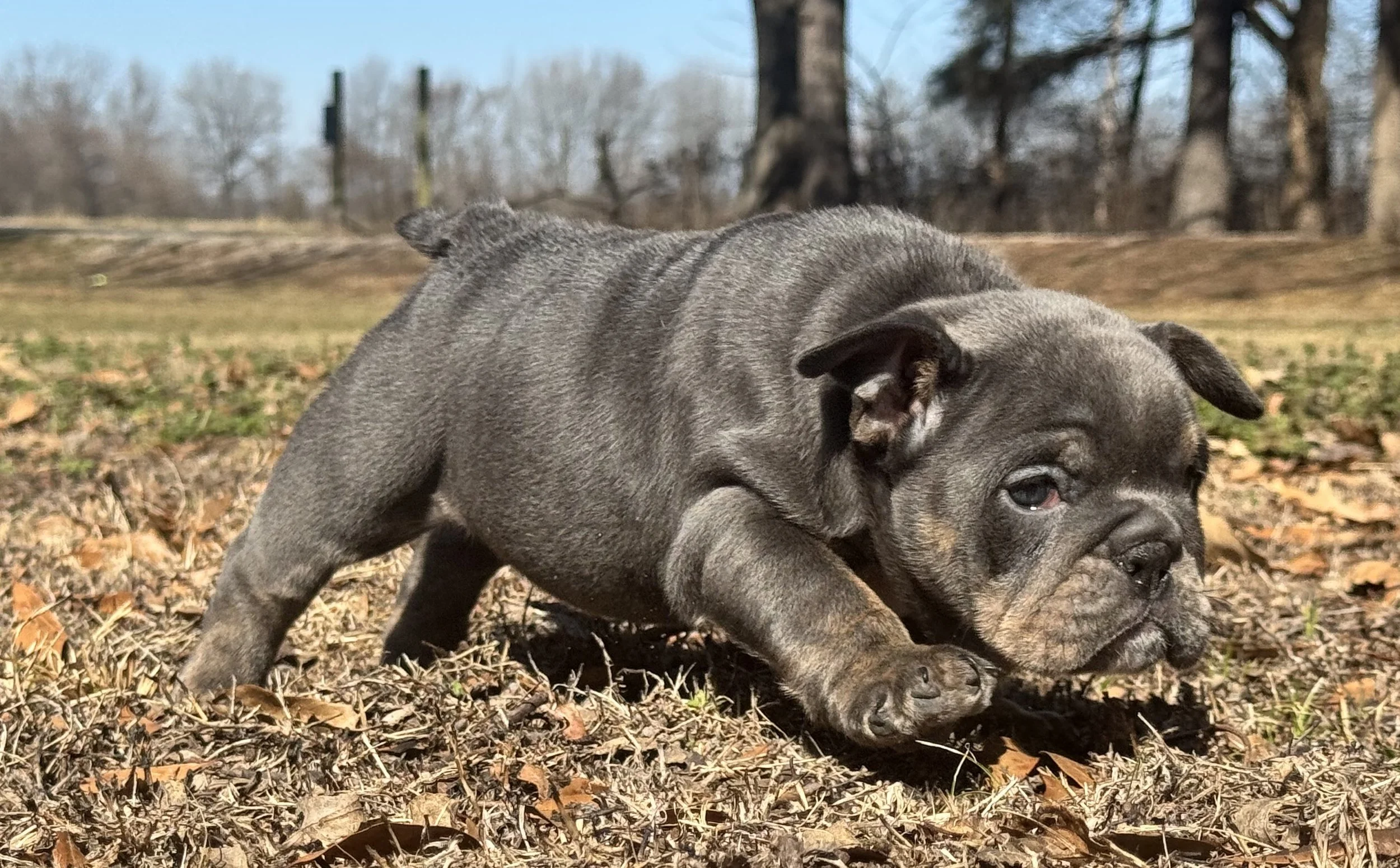 Photo Feb 27 2026, 10 59 50 AM.jpg