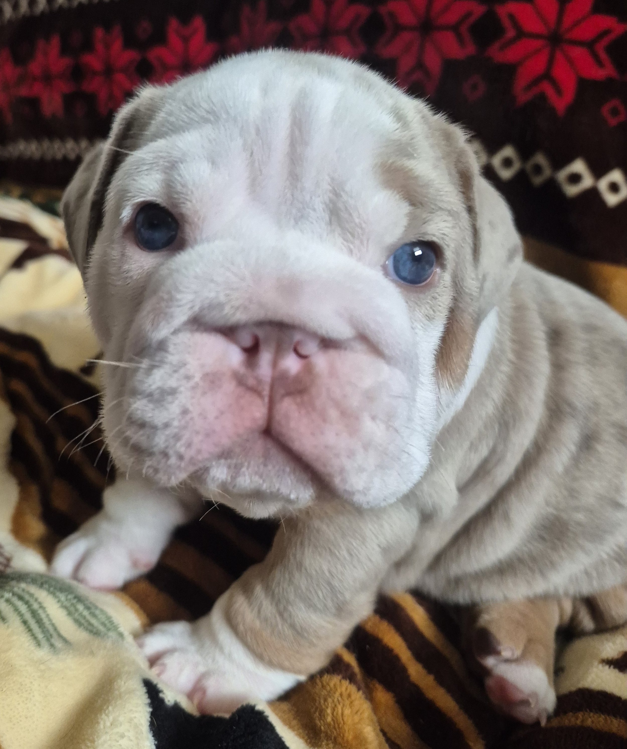 Butterfinger - $5000