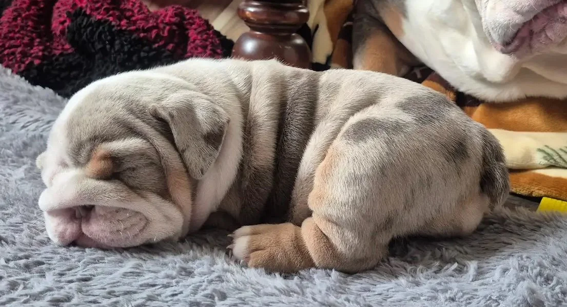 20260302_105737.jpg.adding copy.jpg