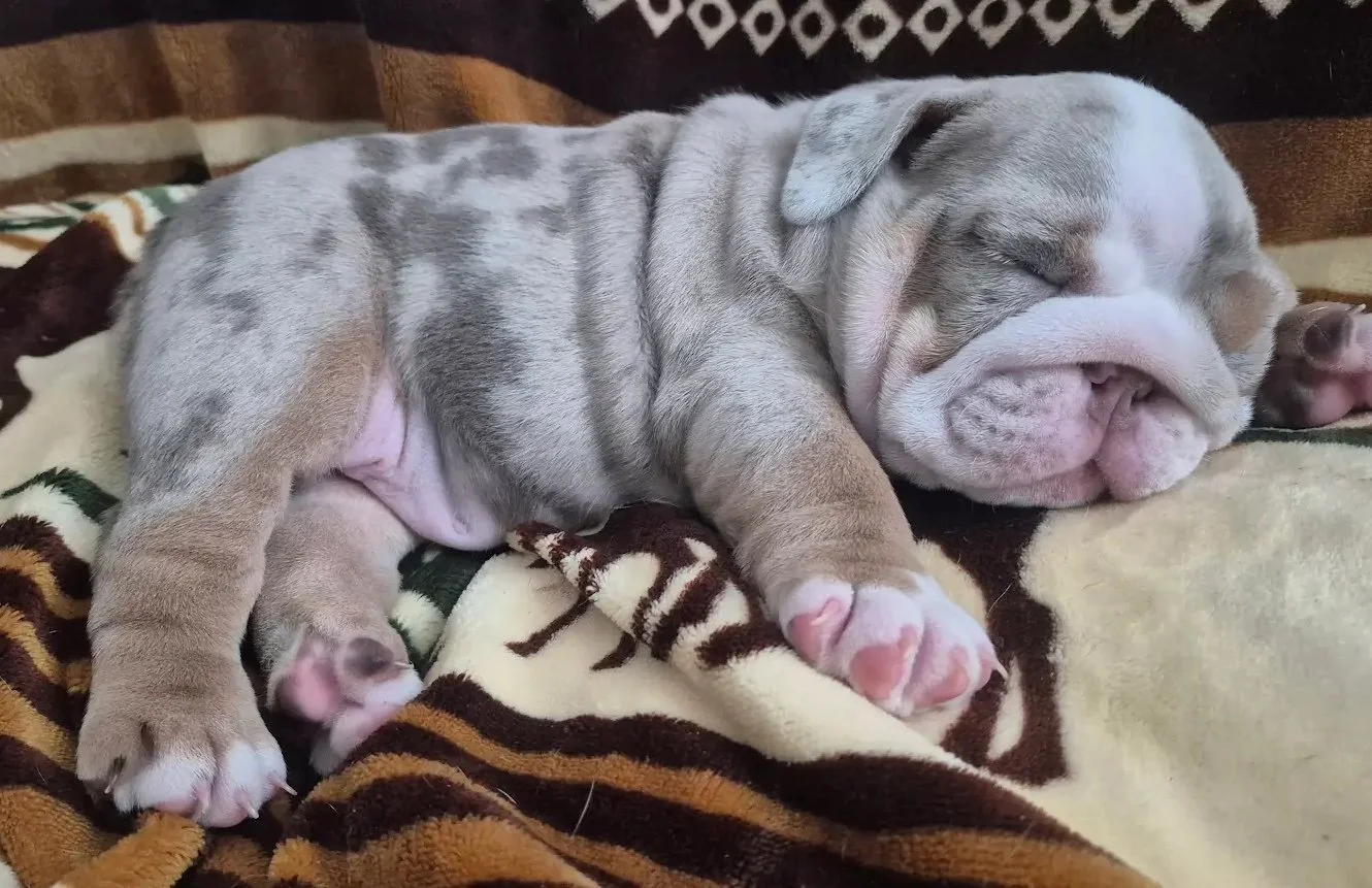 20260303_083409.jpg.adding copy.jpg