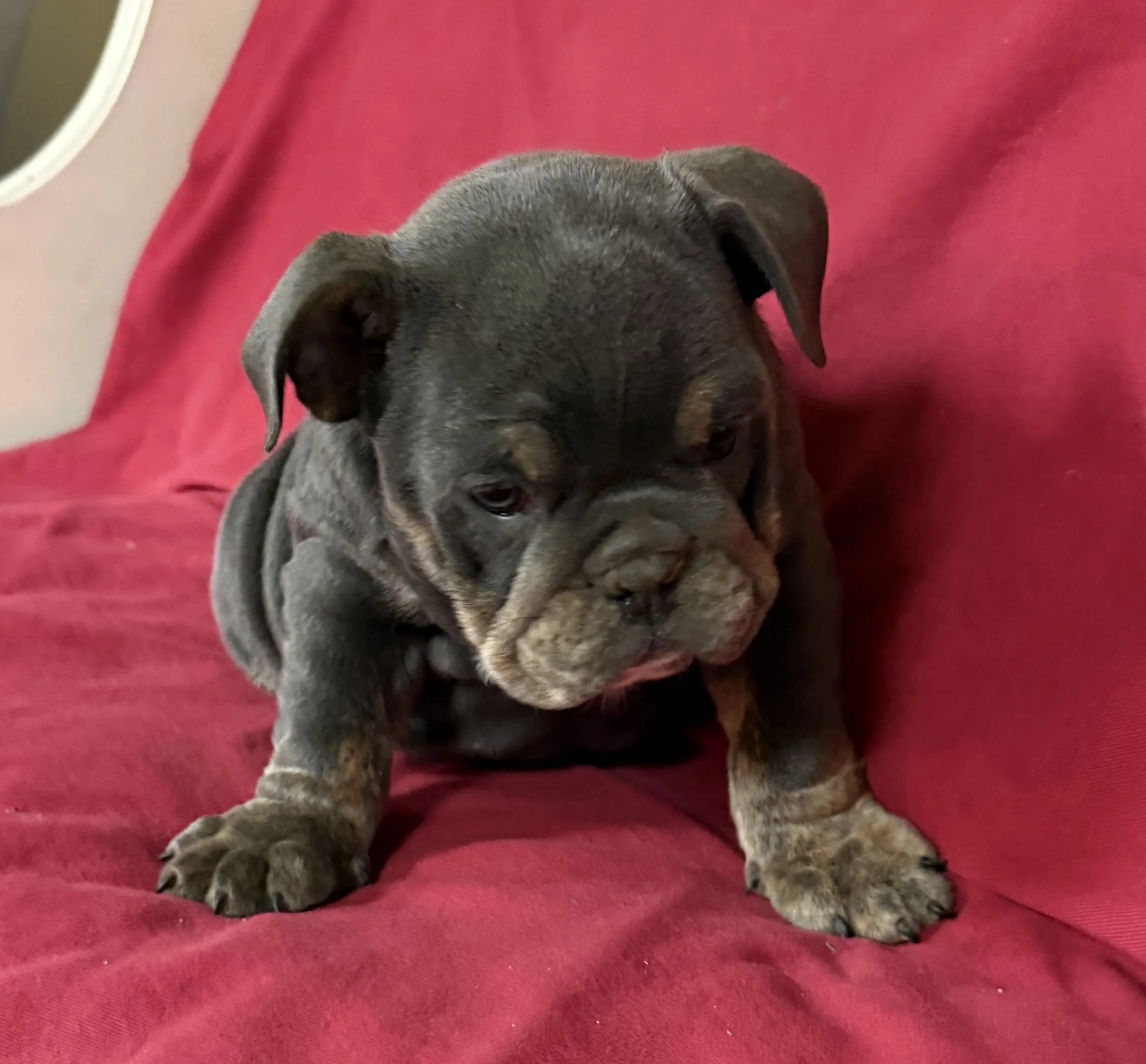 Photo Mar 19 2026, 8 51 23 AM.jpg