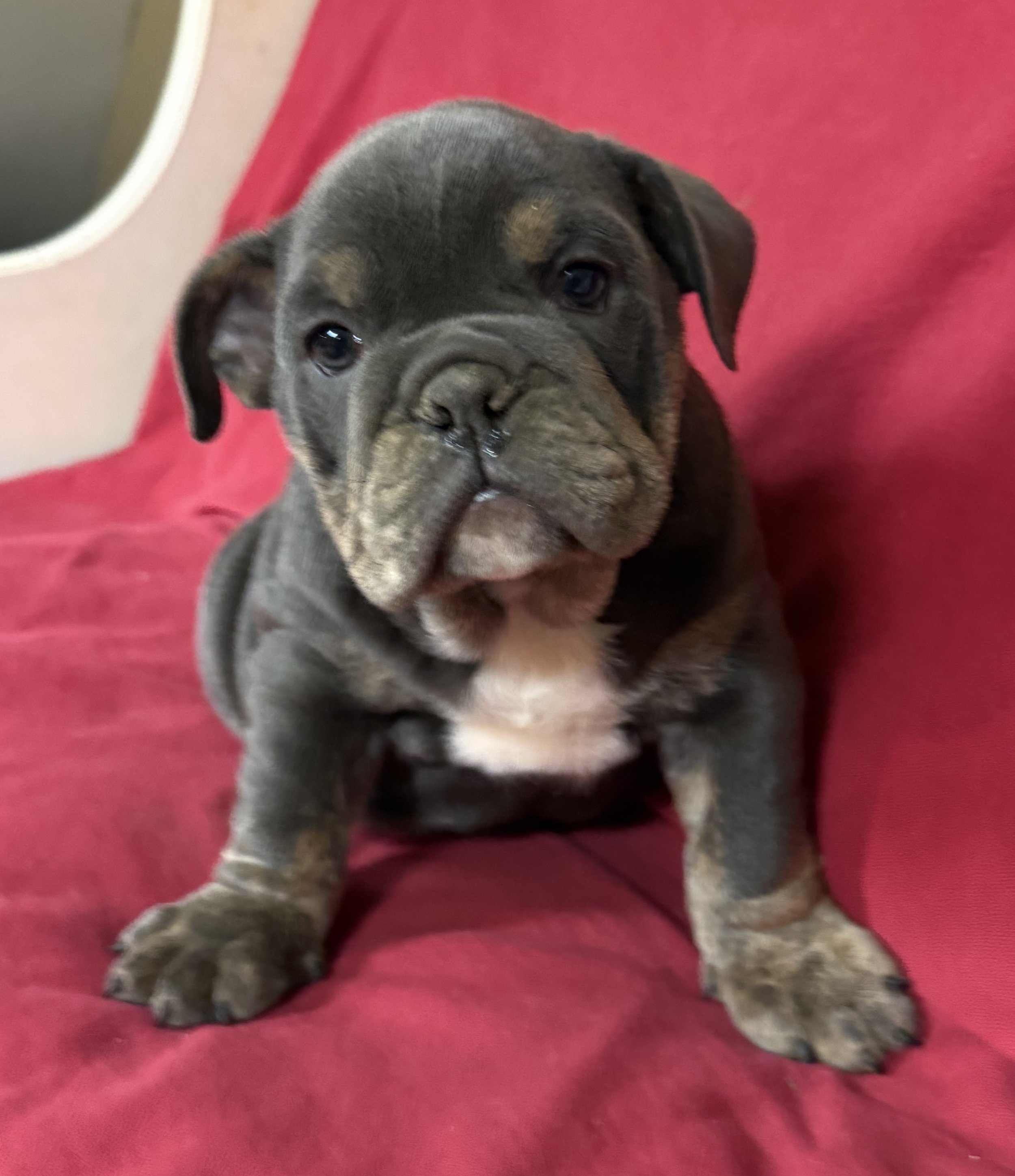 Photo Mar 19 2026, 8 51 24 AM.jpg