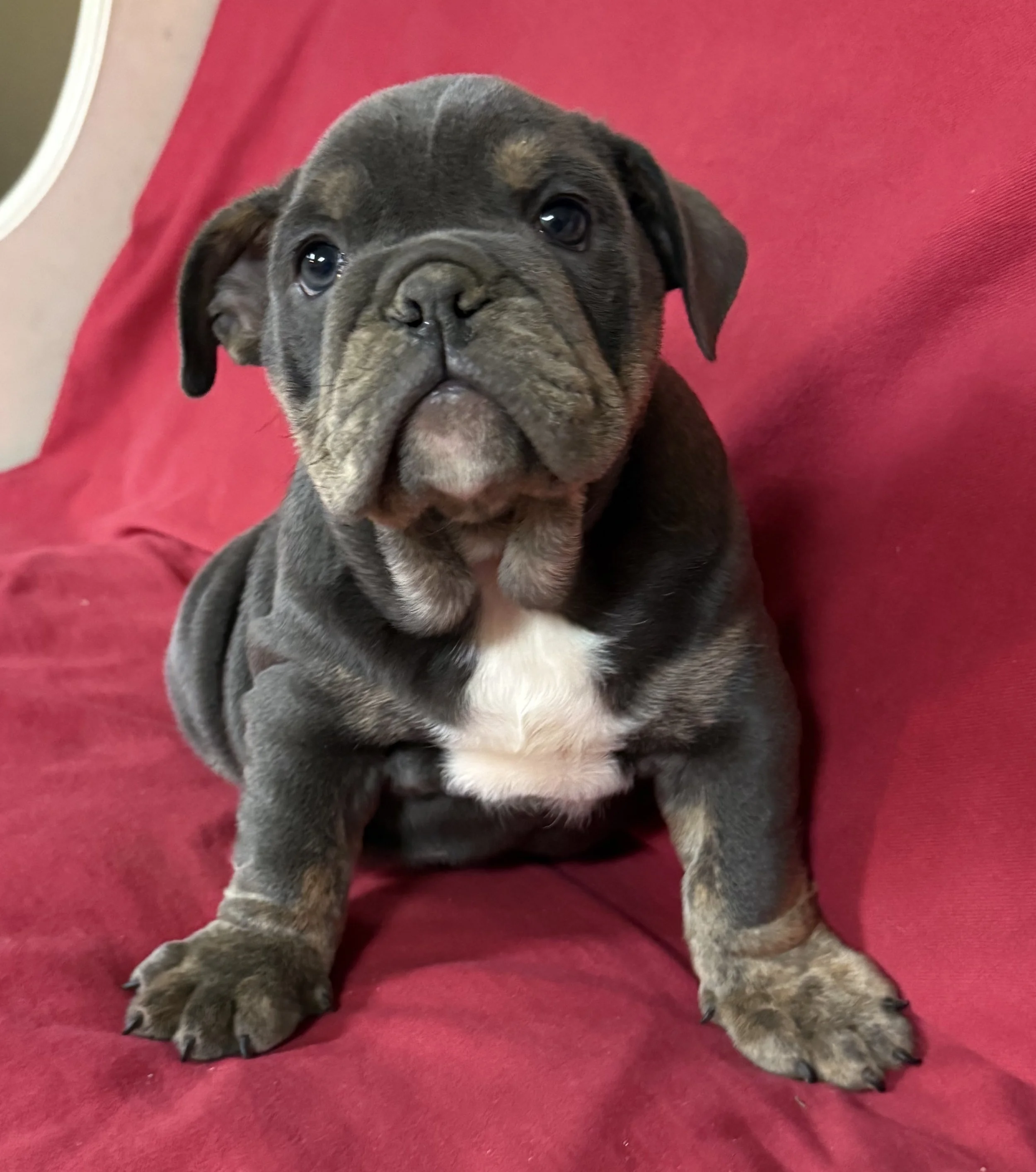 Photo Mar 19 2026, 8 51 26 AM.jpg