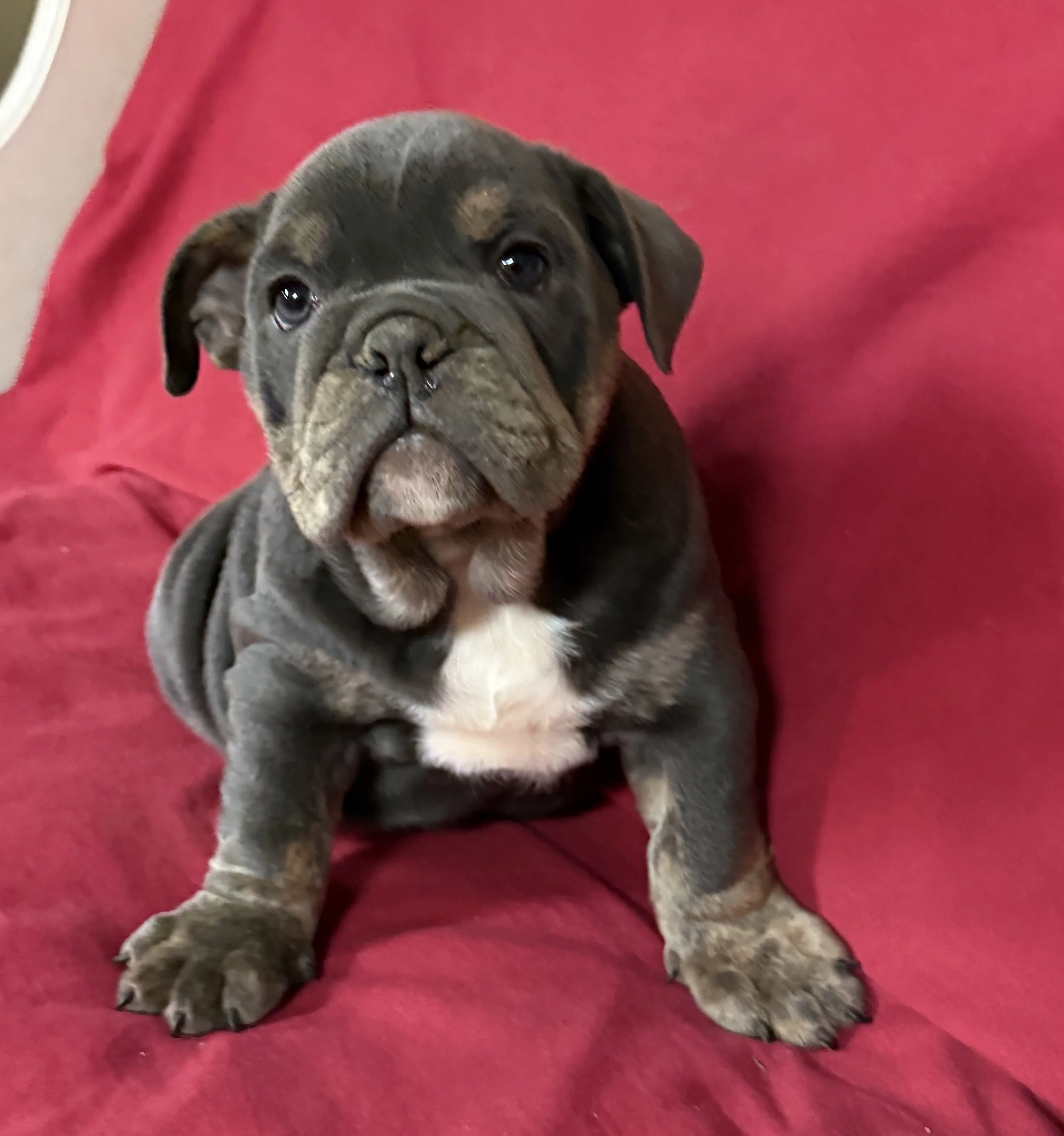 Photo Mar 19 2026, 8 51 27 AM.jpg