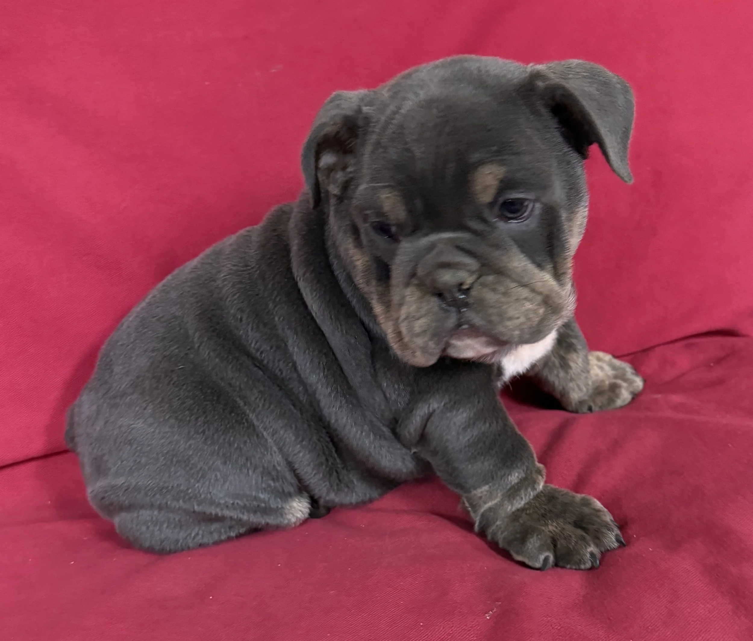 Photo Mar 19 2026, 8 51 31 AM (1).jpg