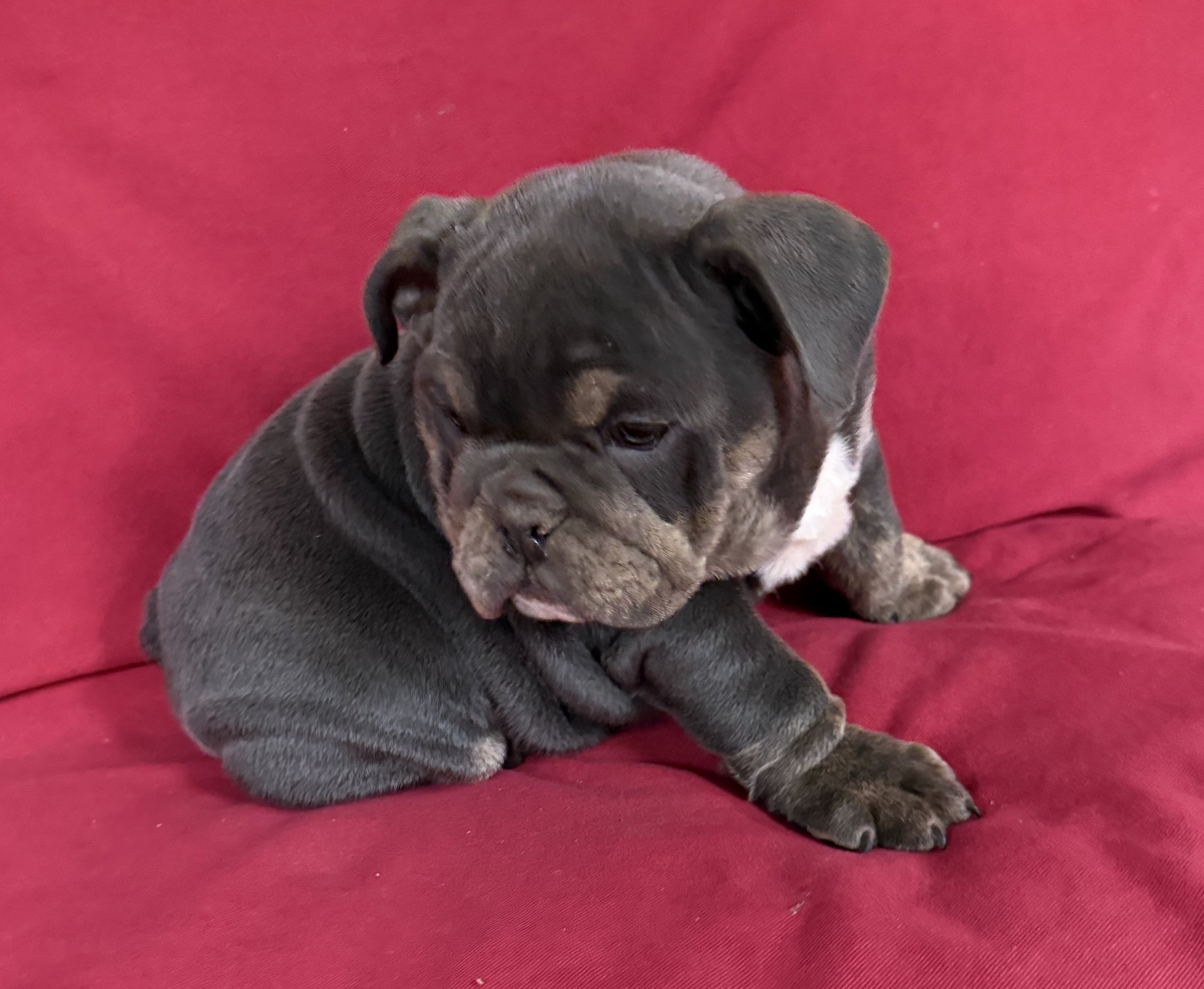 Photo Mar 19 2026, 8 51 31 AM.jpg