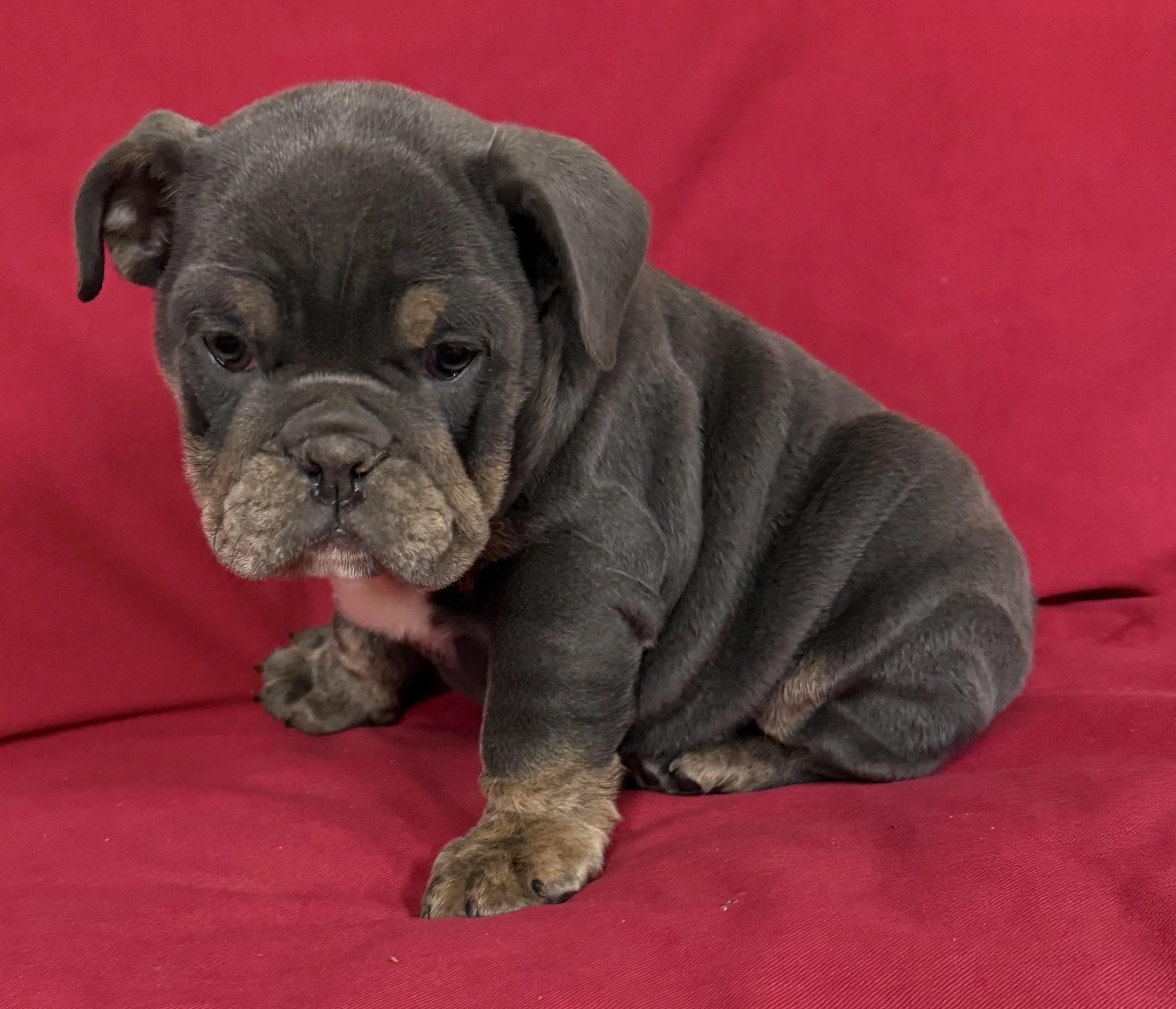 Photo Mar 19 2026, 8 51 42 AM (1).jpg