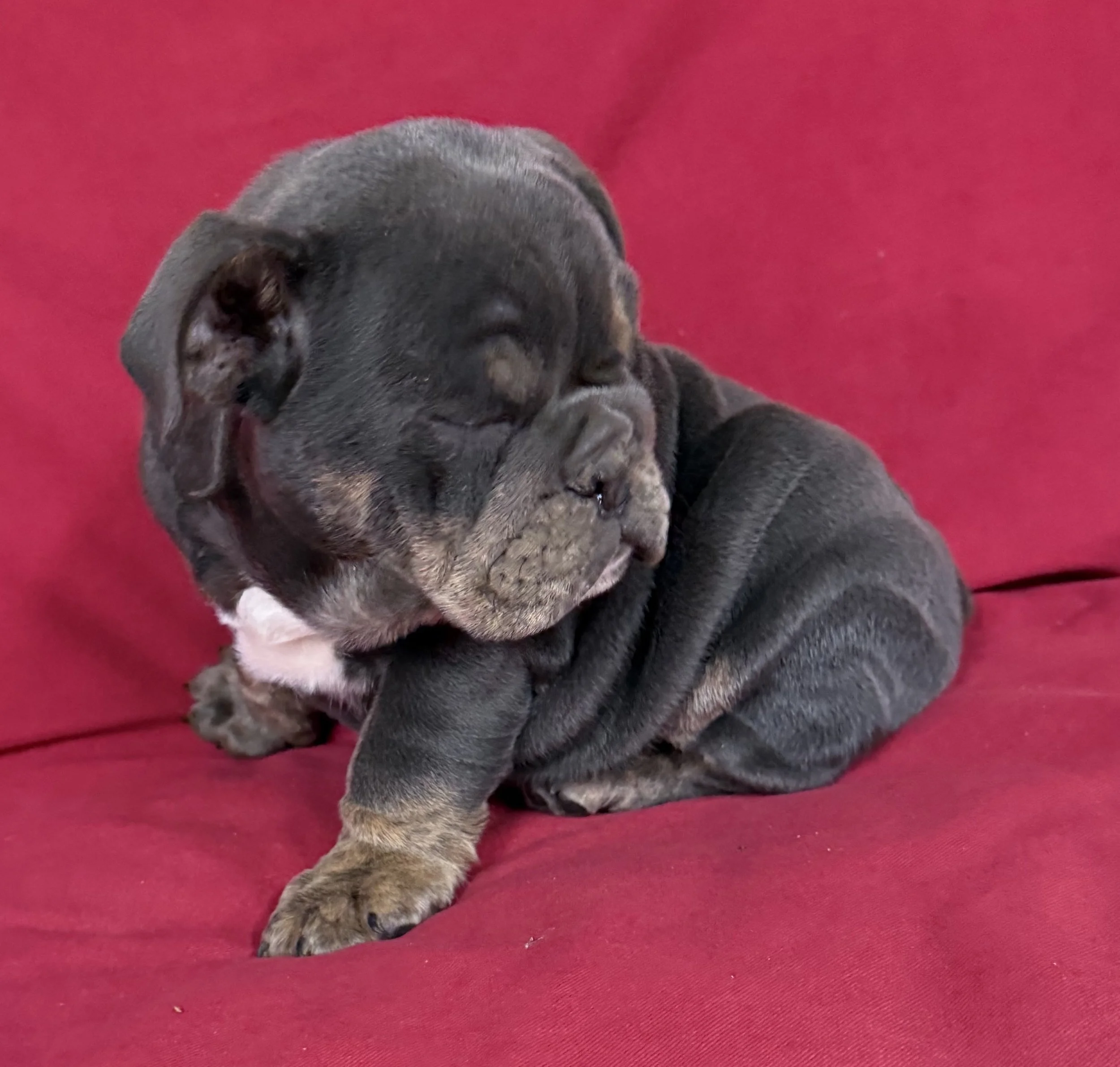 Photo Mar 19 2026, 8 51 43 AM.jpg