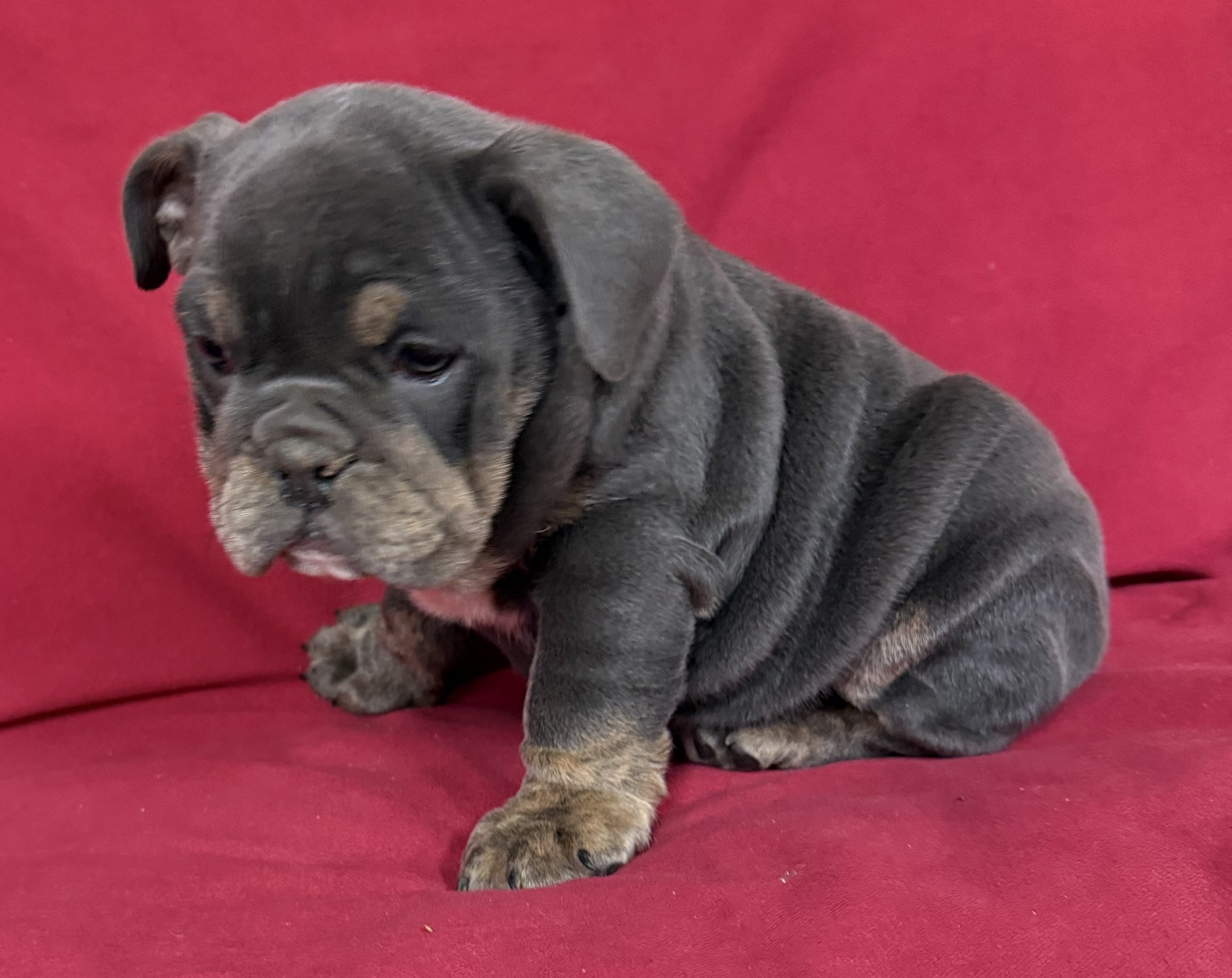 Photo Mar 19 2026, 8 51 45 AM.jpg