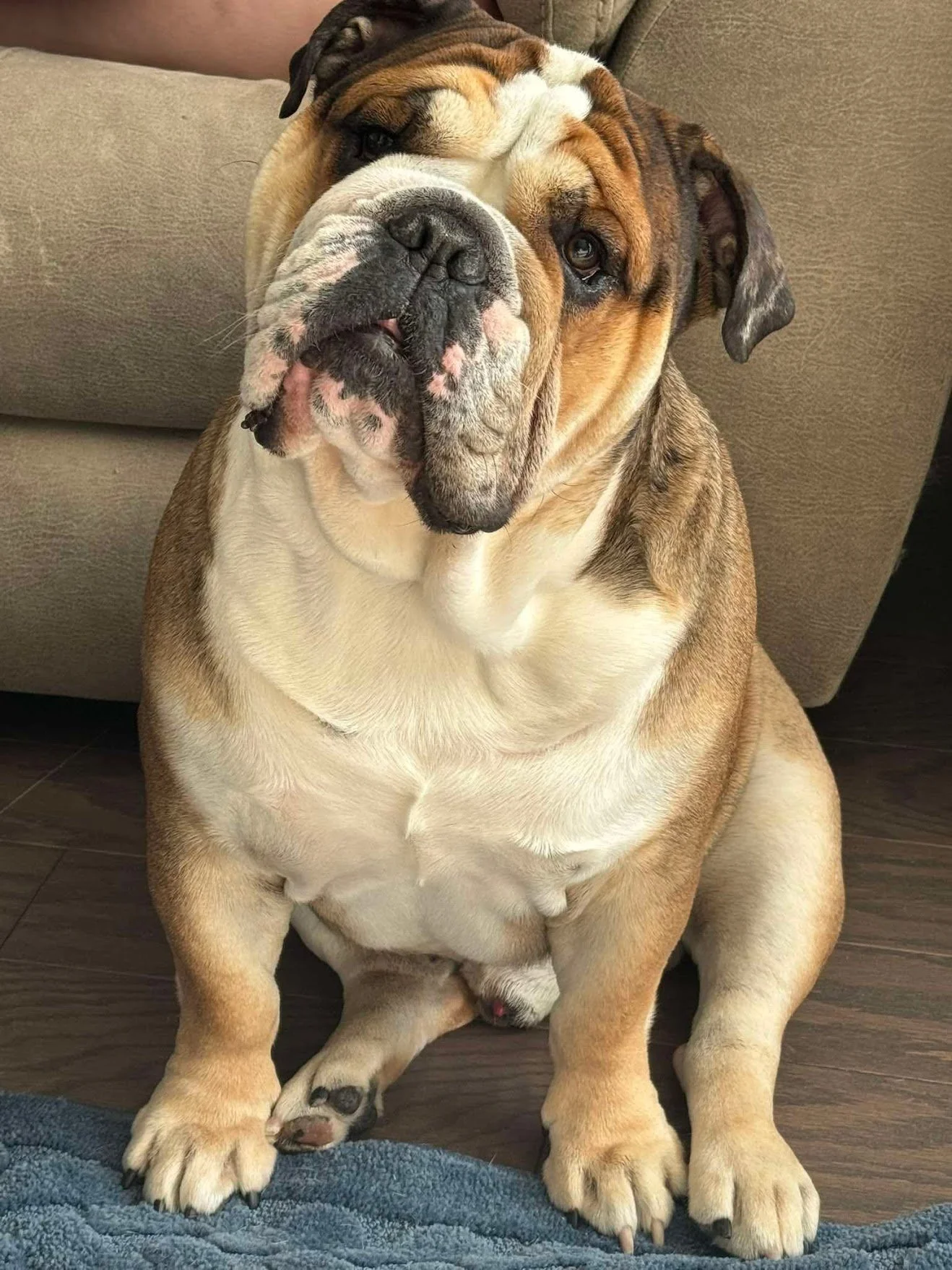 King
