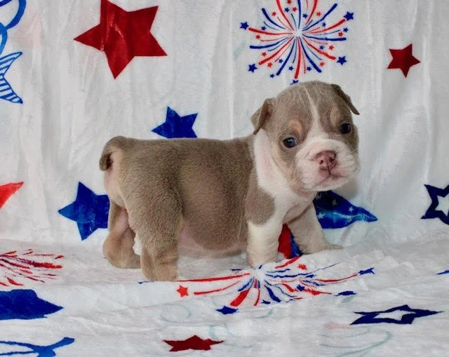 Buffy - $4000