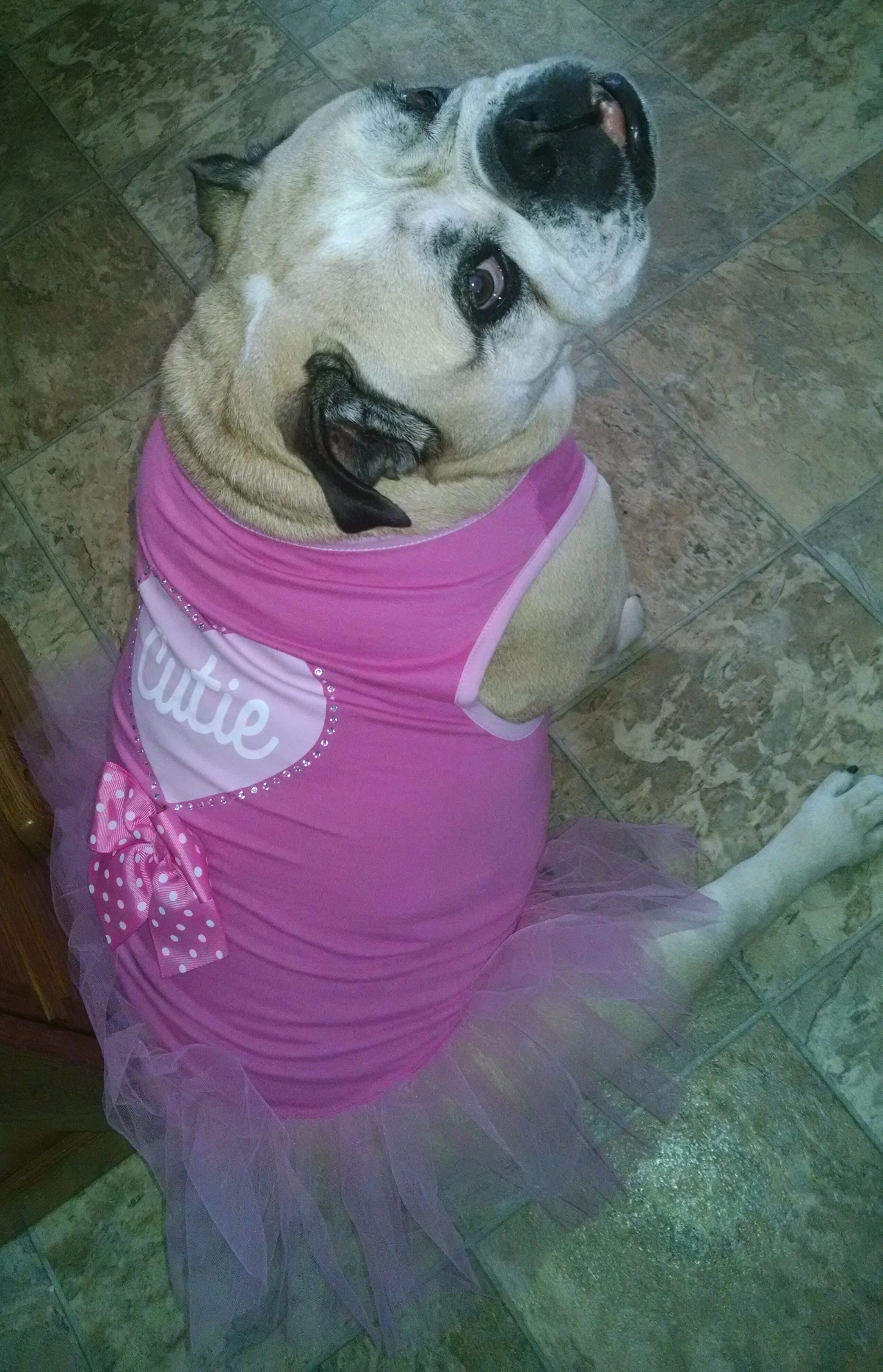 Will You Be My Valentine?