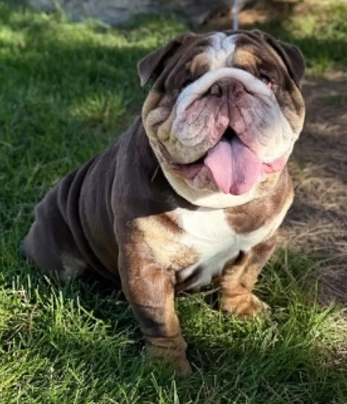 Sir Winston