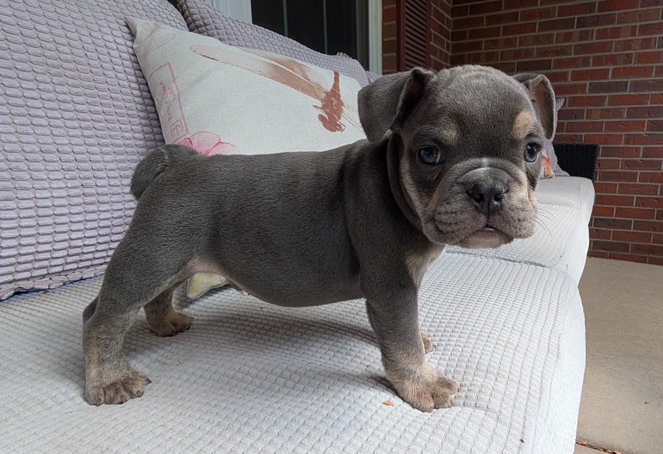 Spud - $3800