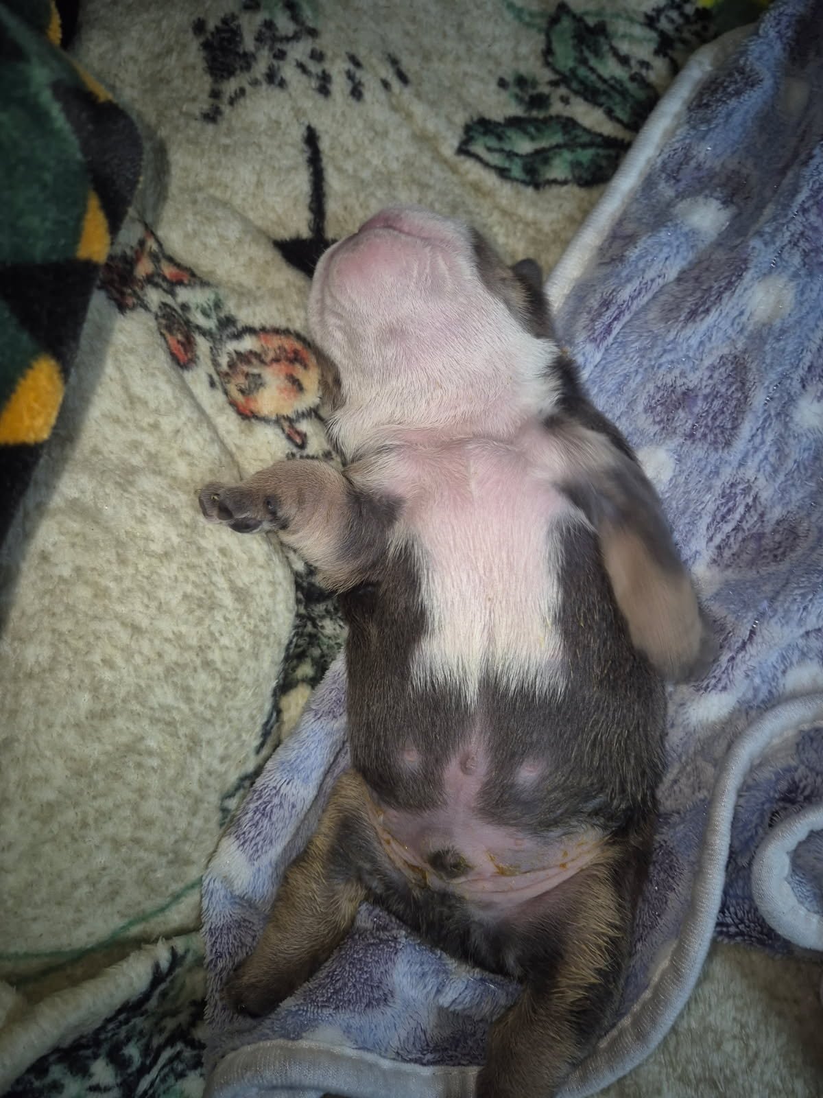 image000001 (11).jpg