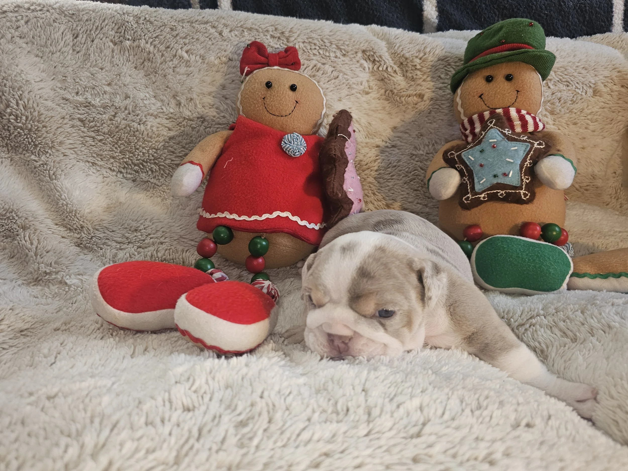 Dozer - $5000