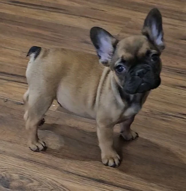 Larry - $3000