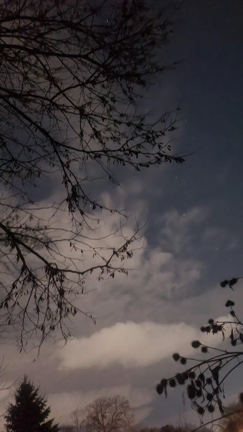 Gratitude For The Little Things