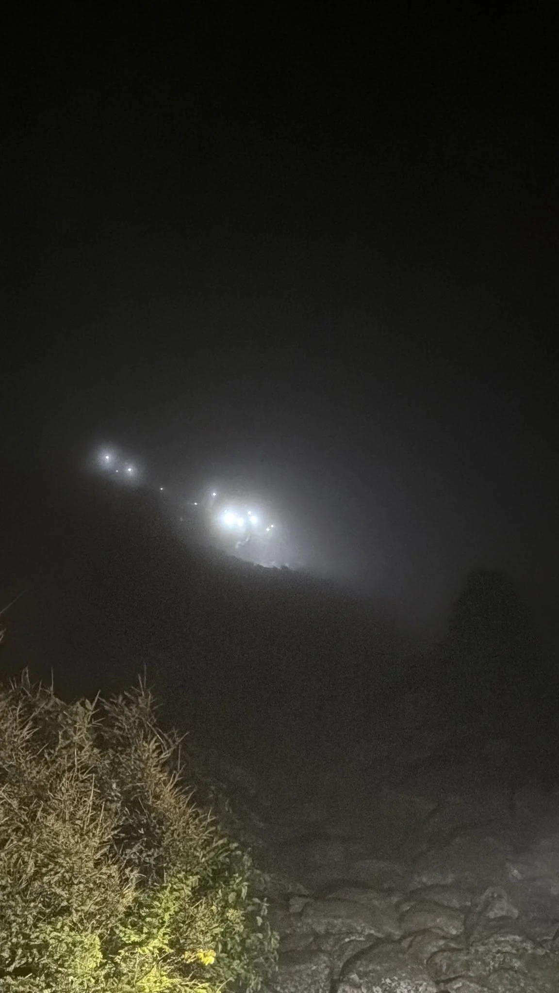 724437115_1664388692357608_8191169184449428608_n.jpg
