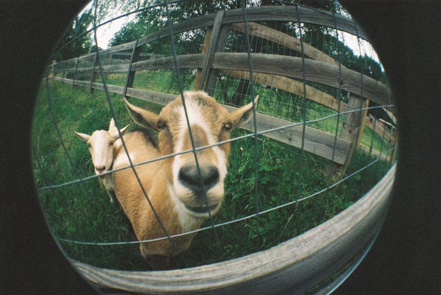 Random set of images I shoulda posted from 2021! I post about 1% of what I shoot which is a crime I know but it&rsquo;s mostly because the thought of working out the perfect set of words and hashtags tends to stress me out to the point of paralysis. 