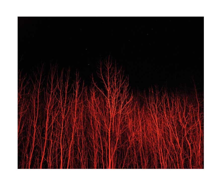 Paul Seawright - Field Notes (2005)