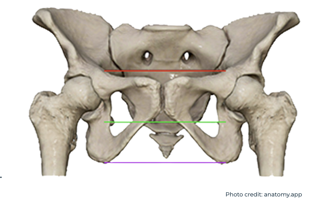 The 3 Levels of the Pelvis for mobility