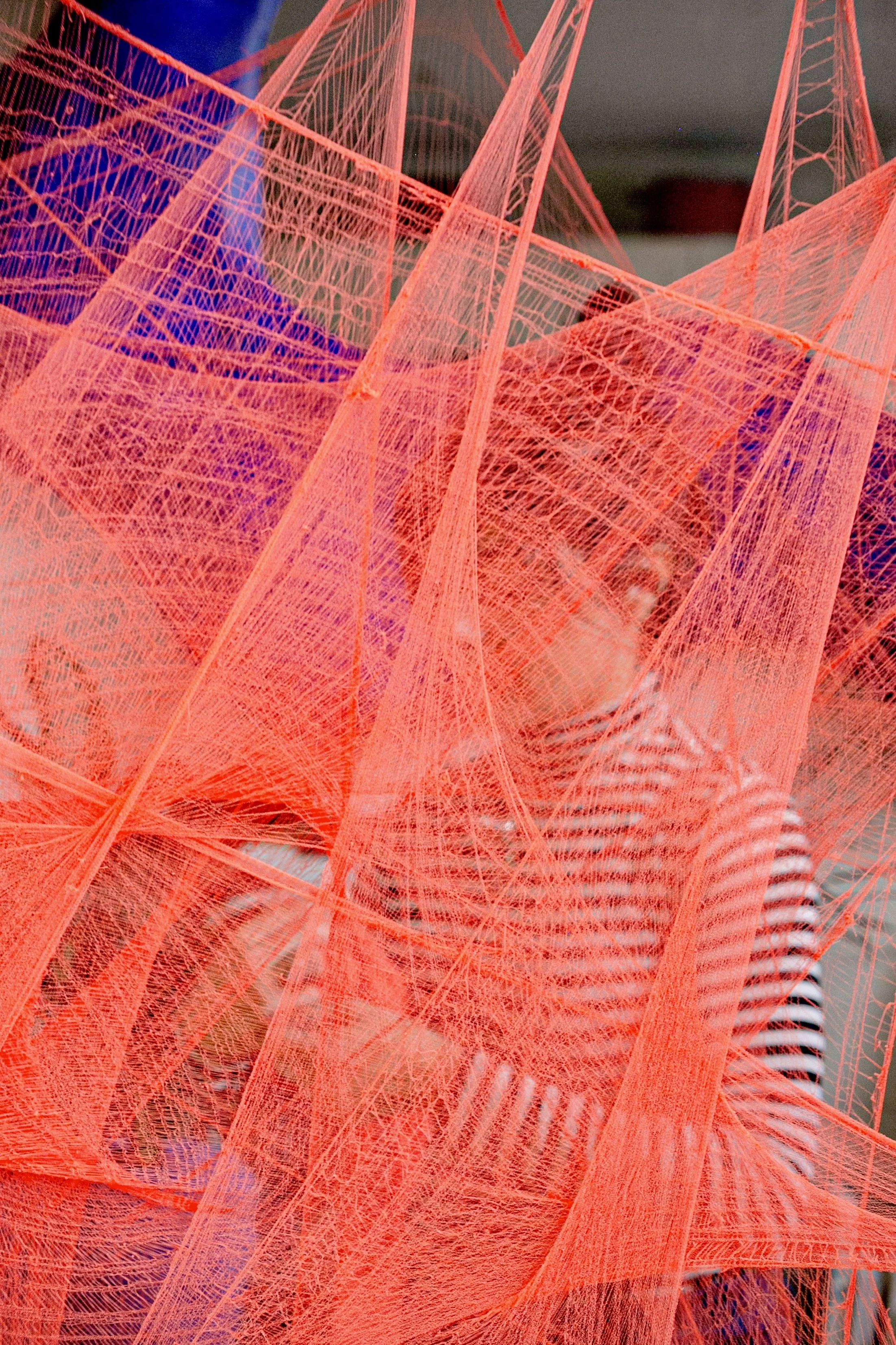 Photography by Alyson Peabody