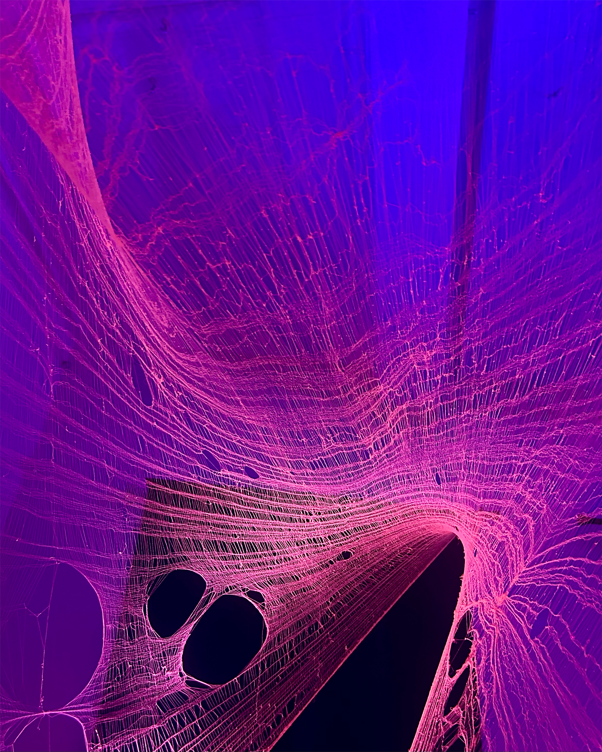 IMG_5843 2.png