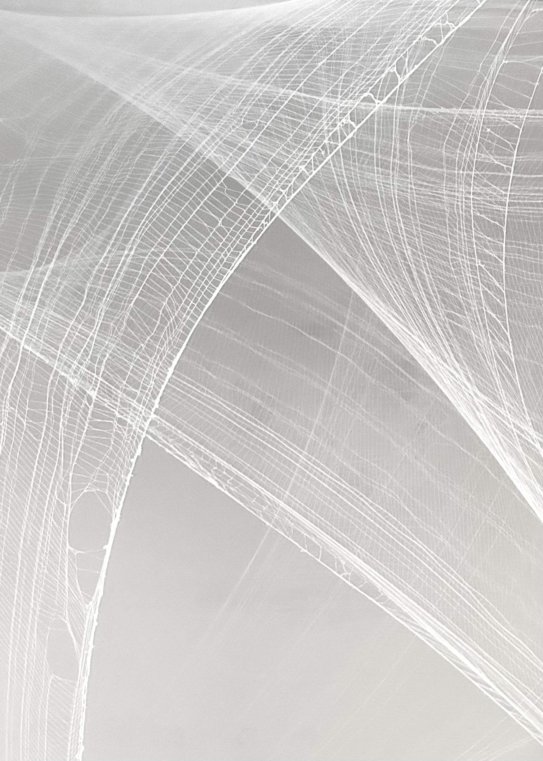 Studio 555 | Lights In The Dark (Deinstallation)