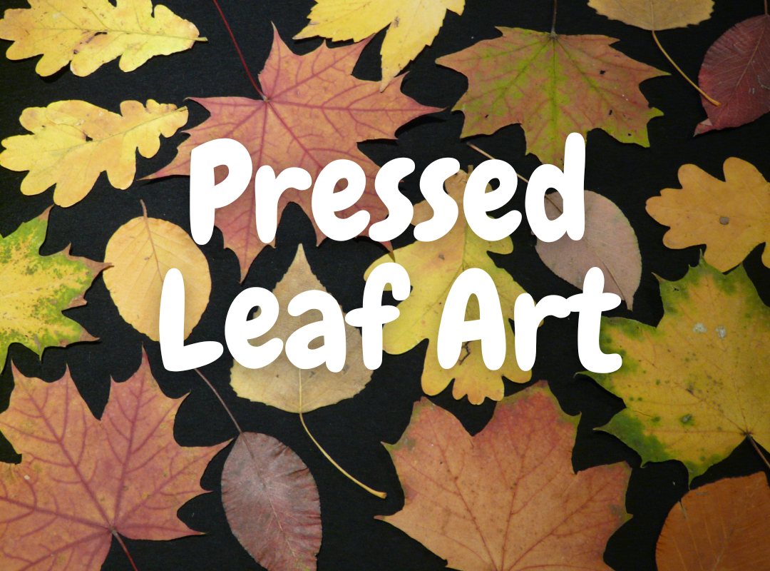 Event Cover Size (45).png