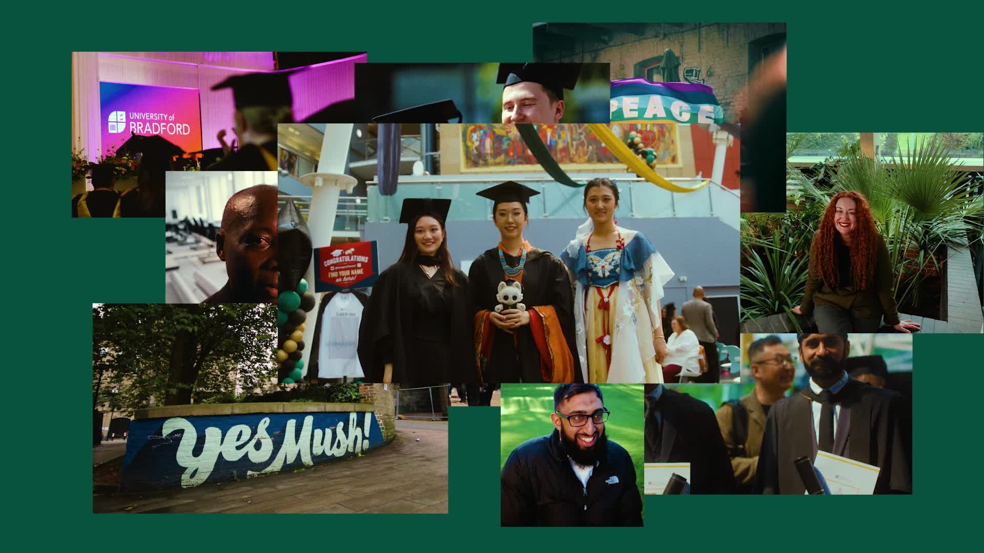 Klip Video Still 2025-06-27 0443pm (1).jpeg