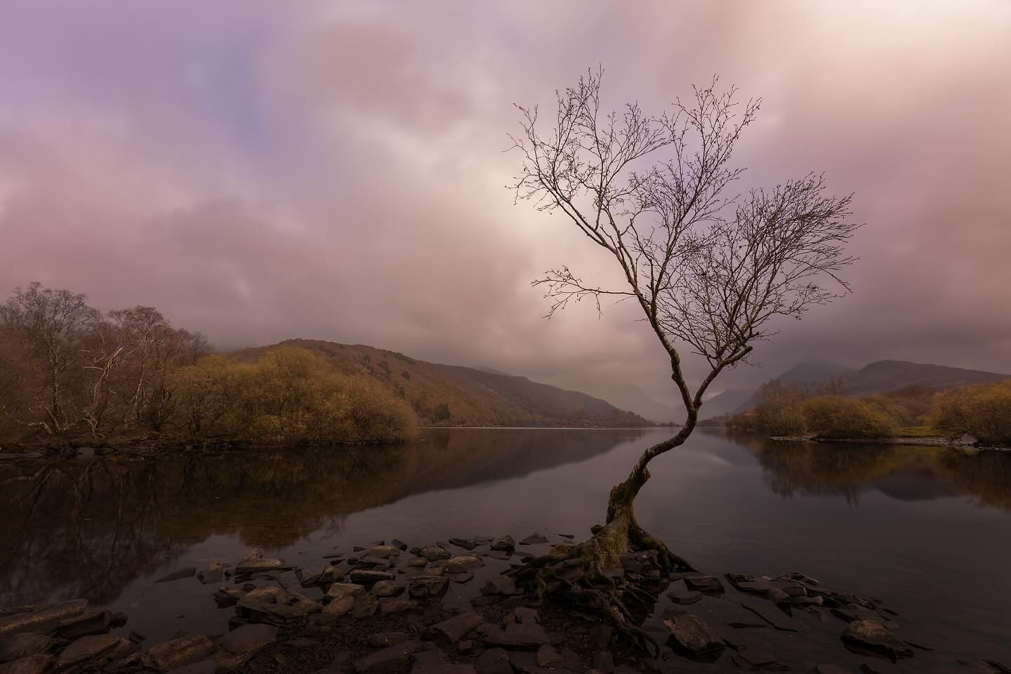 It&rsquo;s been a it&rsquo;s been a while since I&rsquo;ve been out for some Landscape Photography.  I&rsquo;ve just spent the weekend in Eryri and have quite a few photographs to edit.  Here&rsquo;s the first one of &ldquo;that tree&rdquo; 

@canonu