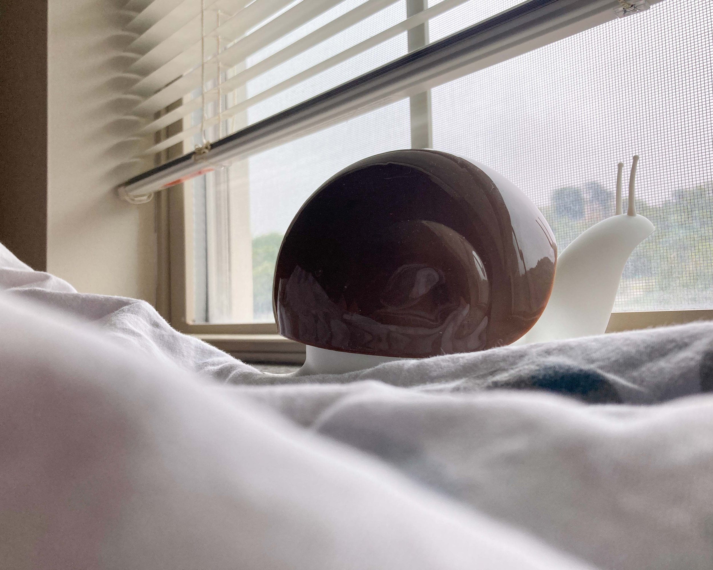 Scale - Elias Yang.jpg