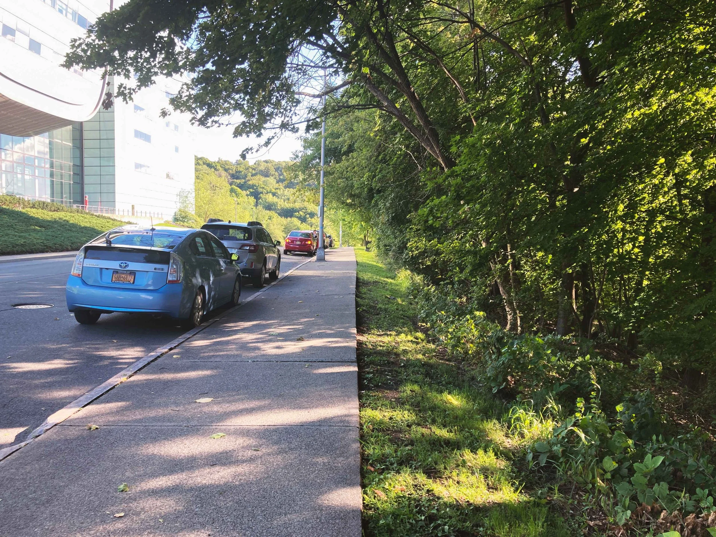 Balance - Elias Yang.jpg