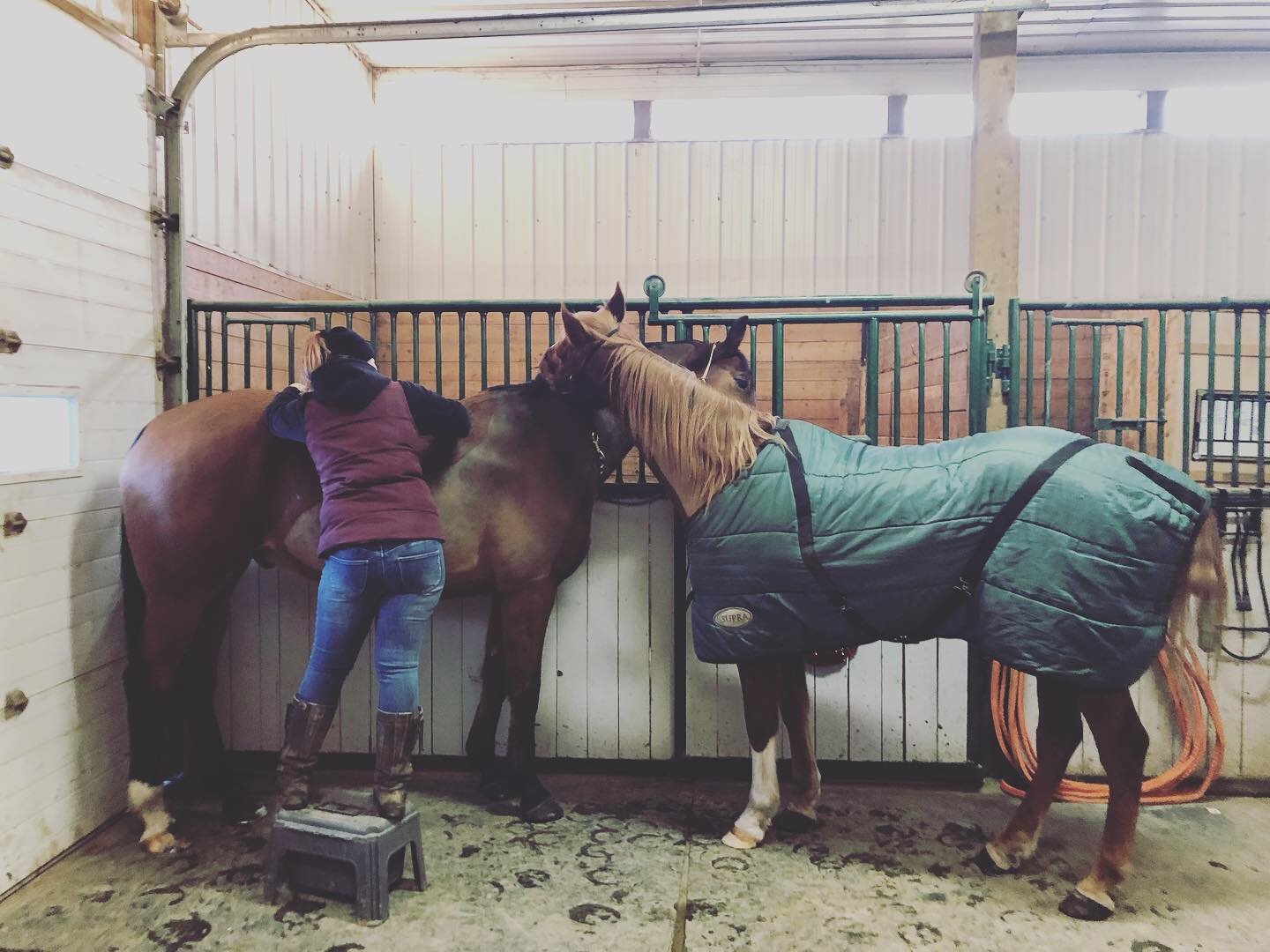 The boys getting there routine adjustment from @fromtheinsideoutequinetherapy. 
Who is enjoying it the most? #bromance #horse