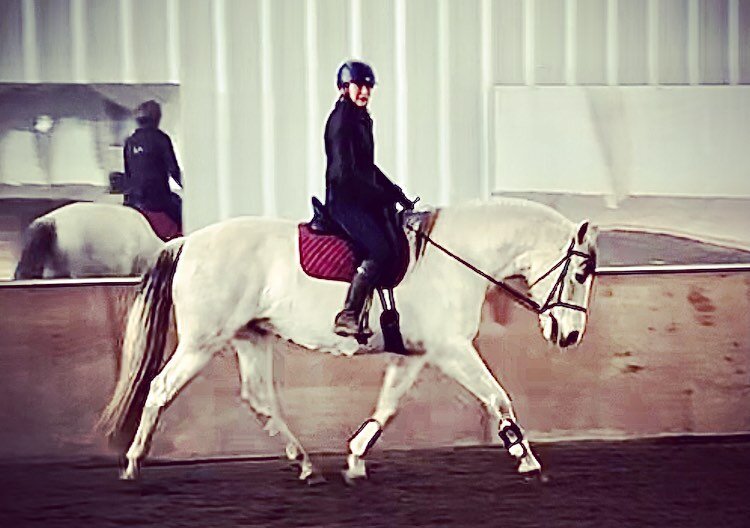 Longitudinal suppleness and importance of changing the frame: 
Here we have Lito in two different frames of work. The first being a long and low stretch. The second he is between and working and collected trot. Lito is a young Andalusian who we are s