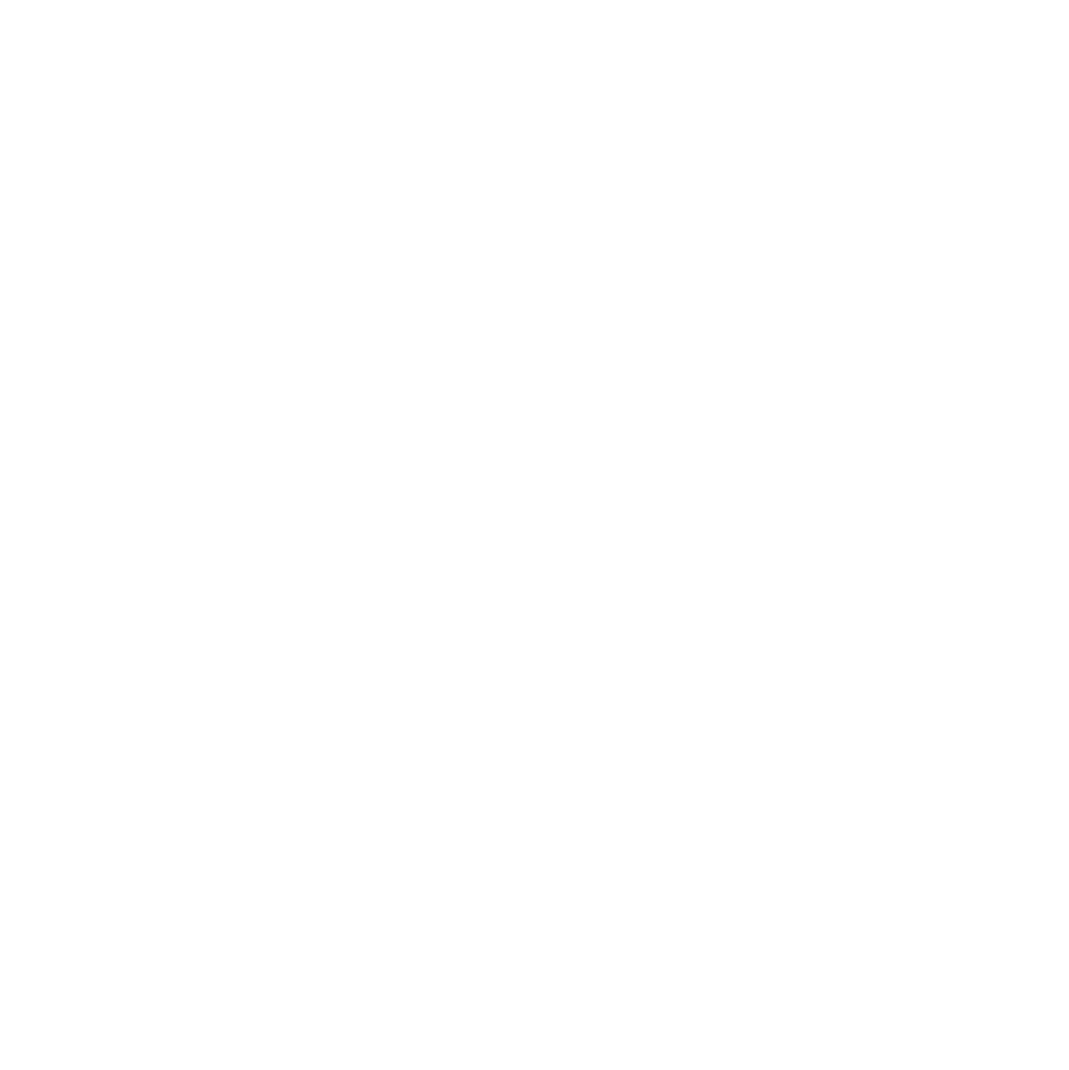 AlientoDeVidaStatenIsland