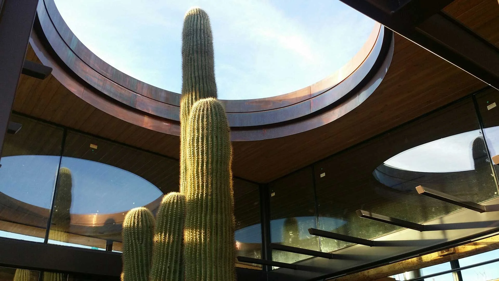 SaguaroRidge_Residence_034.jpg