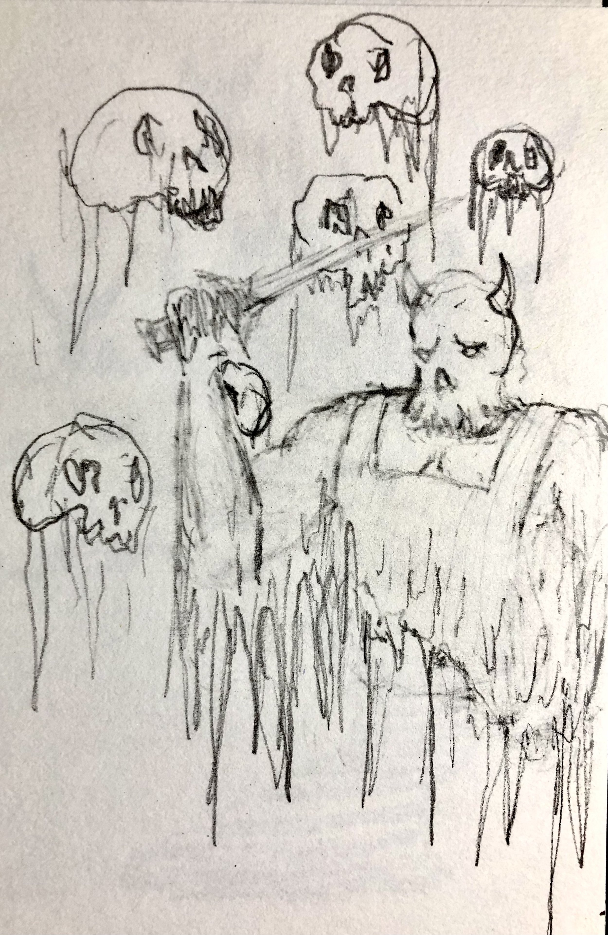 IMG_2217.jpeg