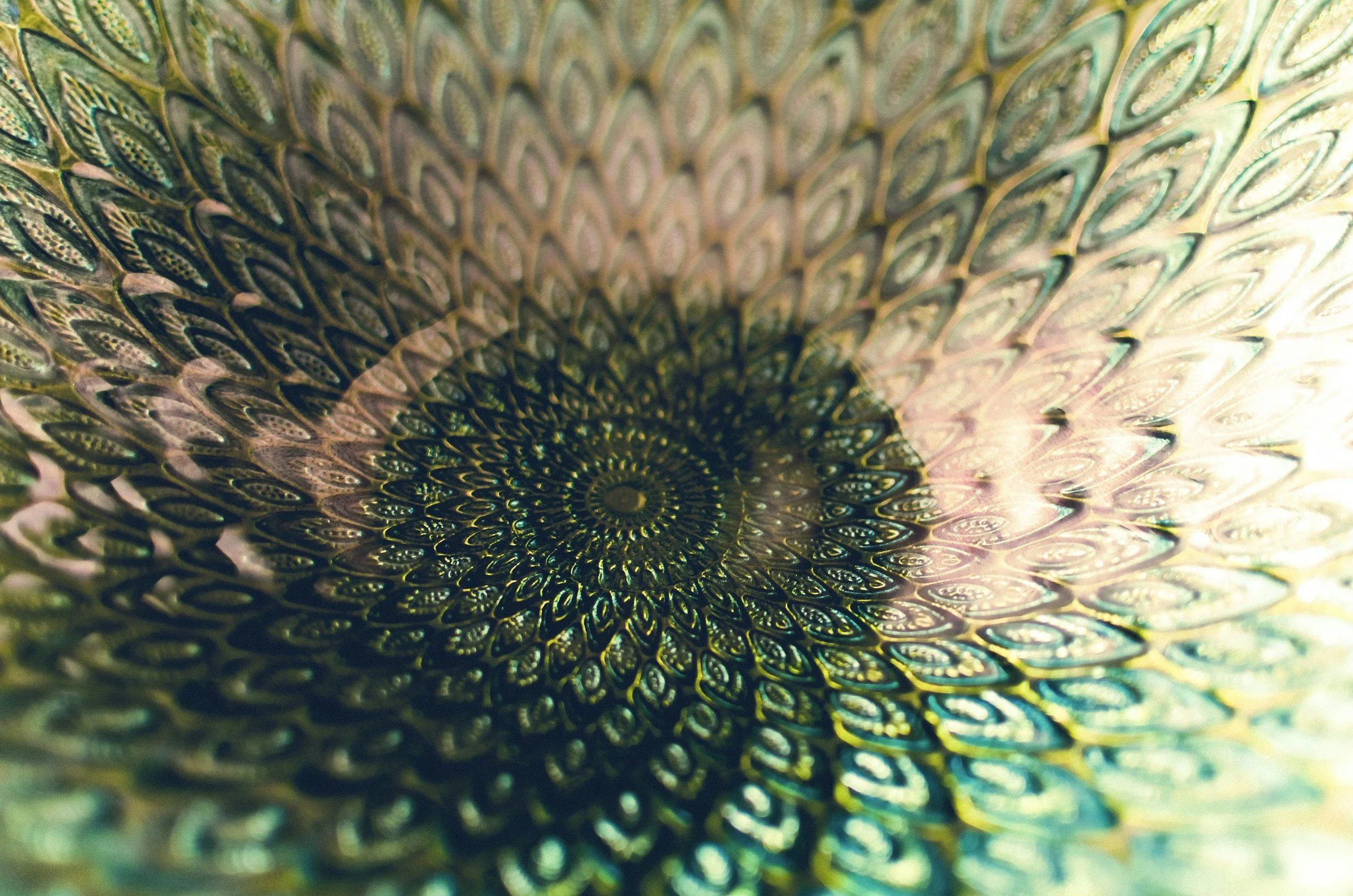 Four women embracing in a group hug, showing support and connection.