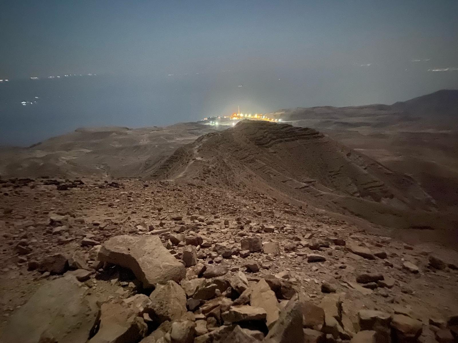 Moonlit desert landscape at night.